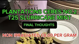 Plantations Ceres No.2 T25 Slurricane Mint Legal UK Medical Cannabis Flower - RRP £8.00 per gram