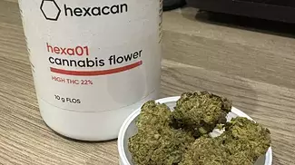 HEXACAN HEXA01 MANGO THC 22% Medical Sativa Hybrid Cannabis Flower