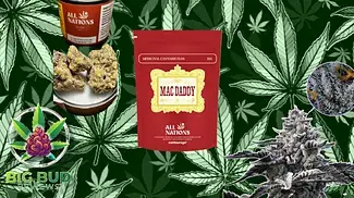 Mac Daddy by All Nations T22 : Medical Cannabis Review