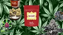 Big Bud Reviews Video Thumbnail