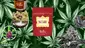 Video Thumbnail: Big Bud Reviews