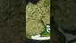 Video Thumbnail: VIP THC