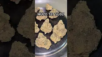 MUZU T27 SUDZ weight