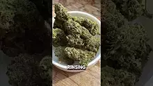 26wrld Video Thumbnail