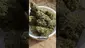 Video Thumbnail: 26wrld