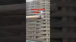 Aurora Cosmic Cream Medical