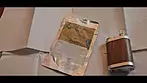 Encanto MCCN No 5 Lemon Sour Diesel UK Medical Cannabis Strain Review It's Not No Super Lemon Haze