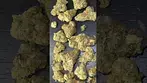 HighGreens “Jet Pilot”  22% THC Medical Cannabis  | FIRST LOOK 