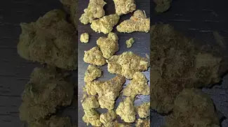 HighGreens “Jet Pilot”  22% THC Medical Cannabis  | FIRST LOOK 