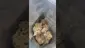 Video Thumbnail: High Jack