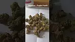 Hexacan - Purple Punch (Hexa03) (UK Medical Cannabis Prescription)