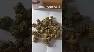 Hexacan - Purple Punch (Hexa03) (UK Medical Cannabis Prescription)