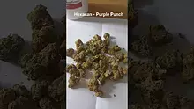 ScottiDunCanna Video Thumbnail