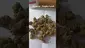 Video Thumbnail: ScottiDunCanna