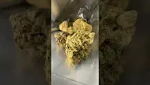 Vybzz 420 Video Thumbnail
