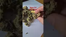 ScottiDunCanna Video Thumbnail