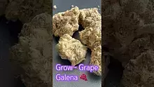 Smokey Mo Video Thumbnail