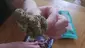 Video Thumbnail: MumMedCanUK