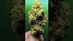 Karamal Kandy 25%THC..... MEDICAL PRESCRIPTION CANNABIS.
