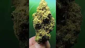 Karamal Kandy 25%THC..... MEDICAL PRESCRIPTION CANNABIS.