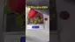 Video Thumbnail: Review Budd