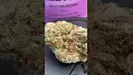 Big Narstie Medical Glitterbomb Gastropop
