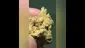 Video Thumbnail: THC Bunny