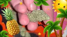 St0nerLukas Video Thumbnail