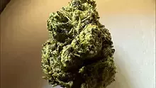 Medical Bud Reviews Video Thumbnail