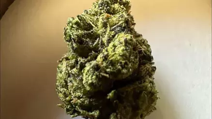 Medical Bud Reviews Video Thumbnail