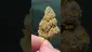 Video Thumbnail: THC Bunny