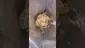 Video Thumbnail: Legal Lettuce