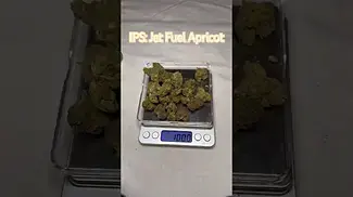 IPS: Jet Fuel Apricot (Pack opening & Weigh)