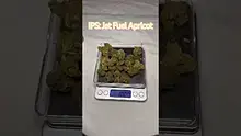 Review Budd Video Thumbnail