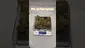 Video Thumbnail: Review Budd