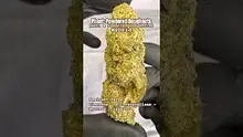 Review Budd Video Thumbnail