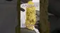 Video Thumbnail: Review Budd