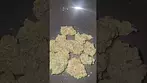 Headstone Wedding Punch UK Medical Flower First Impressions