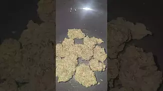 Headstone Wedding Punch UK Medical Flower First Impressions