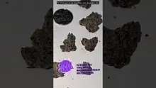 UKTHC Video Thumbnail