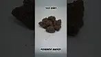 Seed Junky Permanent Marker #medicalcannabisuk #medicalcannabis #cannabiscommunity #shorts #420 #UK
