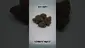 Video Thumbnail: HighStandards420