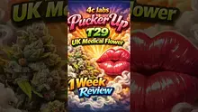 VIP THC Video Thumbnail
