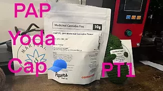 PT1 Papers™ YC T29 Yoda Cap Medical Cannabis Flower