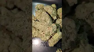 ALL NATIONS MAC DOUGHNUTS (UK PRESCRIPTION MEDICATION)