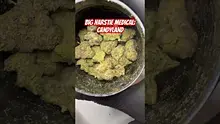 Review Budd Video Thumbnail