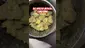 Video Thumbnail: Review Budd