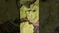 Video Thumbnail: Medical 420