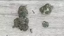 BabyzBudz Video Thumbnail