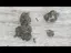 Video Thumbnail: BabyzBudz